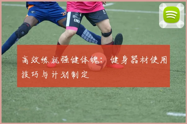 高效练就强健体魄：健身器材使用技巧与计划制定