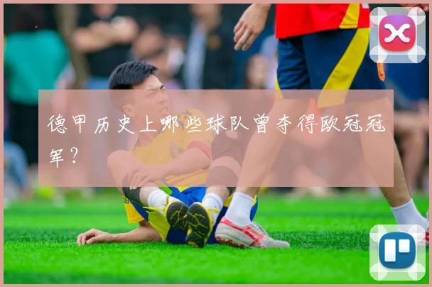 德甲历史上哪些球队曾夺得欧冠冠军？