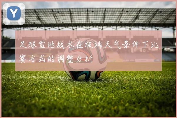 足球雪地战术在极端天气条件下比赛方式的调整分析