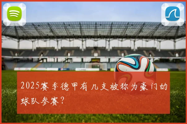 2025赛季德甲有几支被称为豪门的球队参赛？