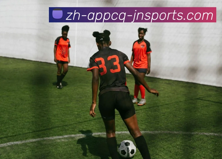 江南体育平台生态图