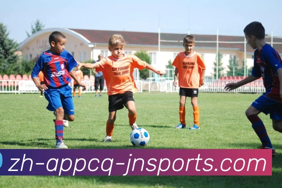 江南体育APP 封面图