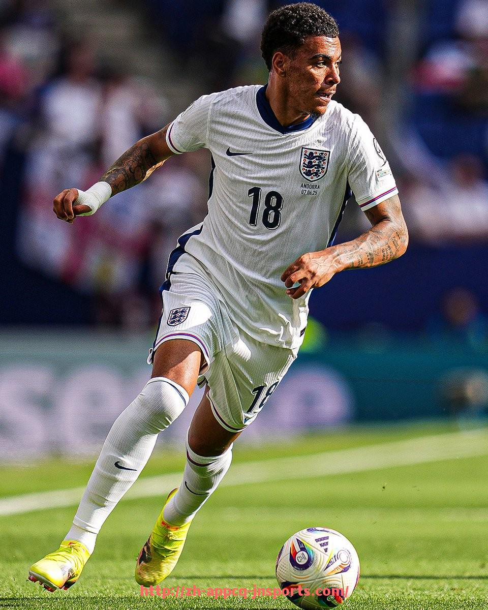 江南体育APP-靴形王国绿茵版图全景呈现：深度解读意甲球队的地理分布与区域特色