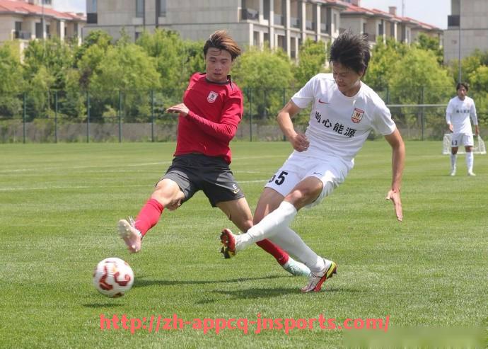 江南体育APP-靴形王国绿茵版图全景呈现：深度解读意甲球队的地理分布与区域特色